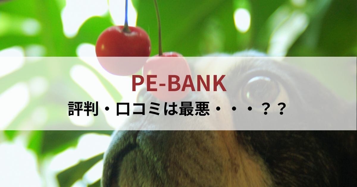PE-BANKの評判・口コミは最悪？